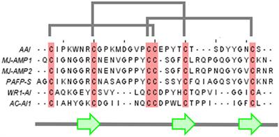 Structure and Oxidative Folding of AAI, the Major Alfa-Amylase Inhibitor From Amaranth Seeds